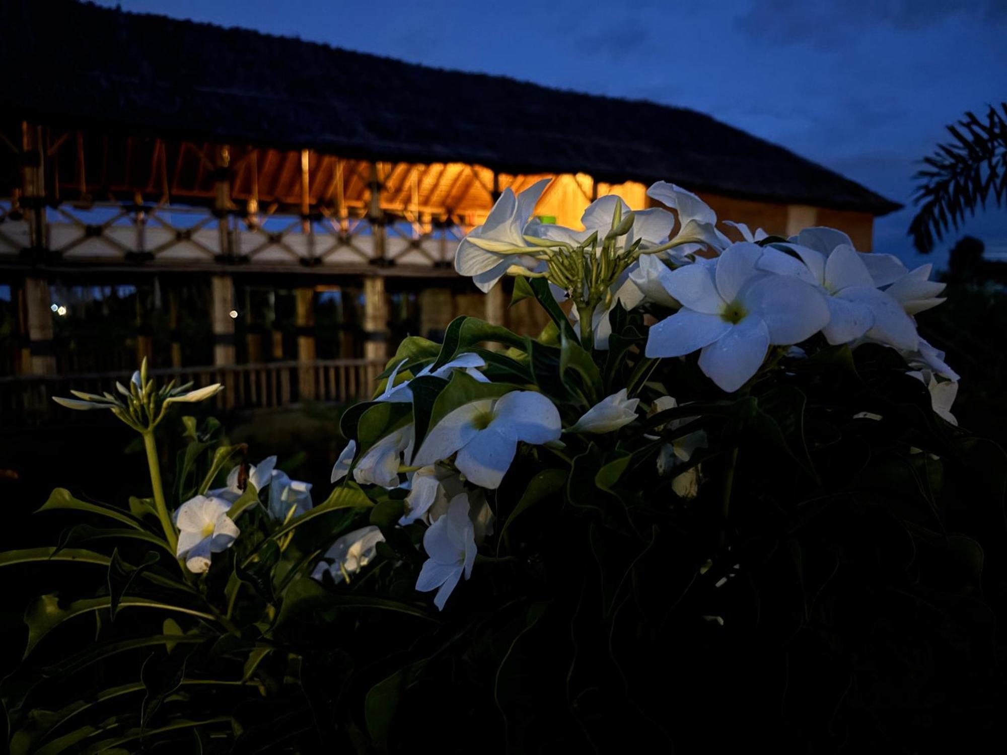 Mowgli'S Cafe Hampi & Guest House Luaran gambar